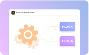 Codec video personalizzabile