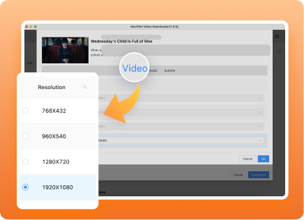 Supporto Customizable Output