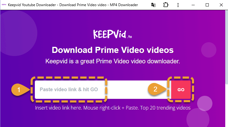 Interfaccia Keepvid