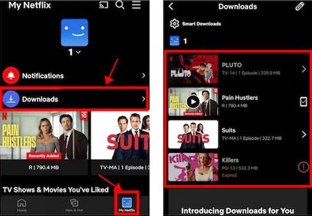 Trova il download di Netflix su iPad, iPhone
